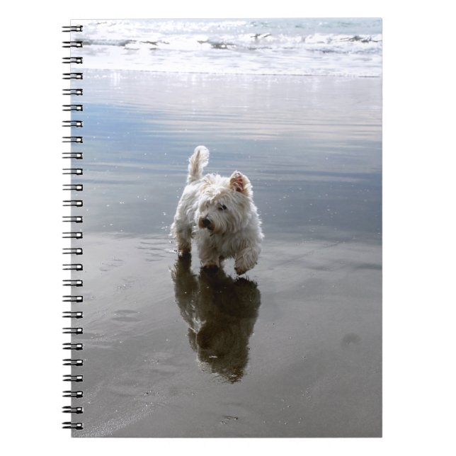 Cuaderno de fotos de reflejos de Westie en la play (Frente)