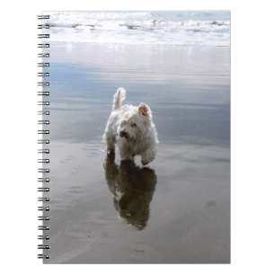 Cuaderno de fotos de reflexión de Westie en la pla