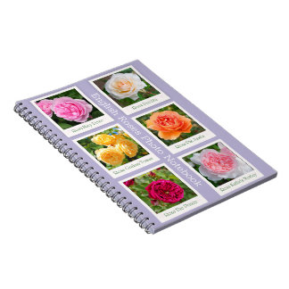 Cuaderno de Fotos de Rosas Inglesas