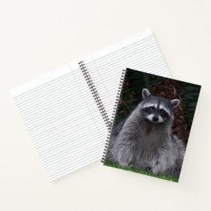 Cuaderno de fotos de vida silvestre de mapache del