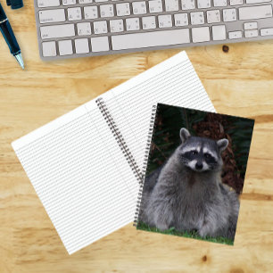 Cuaderno de fotos de vida silvestre de mapache for