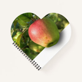 Cuaderno de Fotos en Espiral 3D de Mango