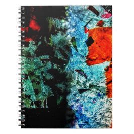 Cuaderno de fotos en espiral con resumen claro, Li