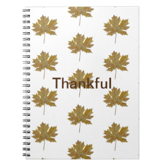 Cuaderno de fotos en espiral de color de las hojas