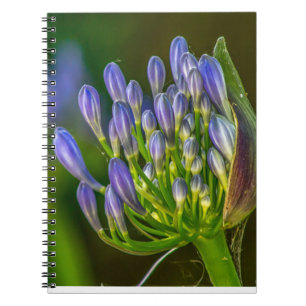 Cuaderno de fotos en espiral de flor púrpura