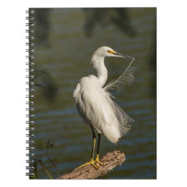 Cuaderno de Fotos en Espiral de Garza Blanca