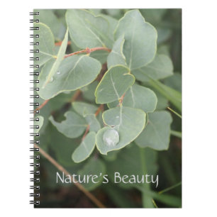 Cuaderno de Fotos en Espiral de Gotitas de Lluvia