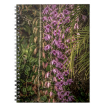Cuaderno de Fotos en Espiral de Orquídeas