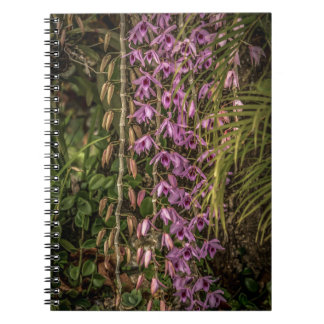 Cuaderno de Fotos en Espiral de Orquídeas