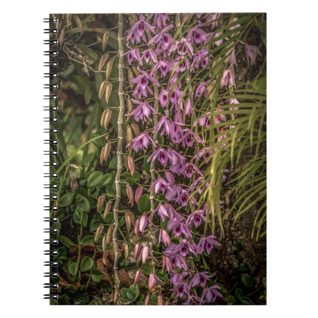 Cuaderno de Fotos en Espiral de Orquídeas (Frente)