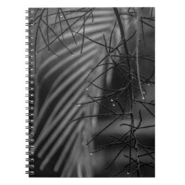 Cuaderno de fotos en espiral de palma y lluvia
