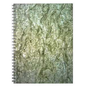 Cuaderno de Fotos en Espiral de Textura Blanca Com