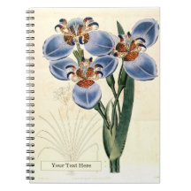 Cuaderno de Fotos en Espiral Trimezia