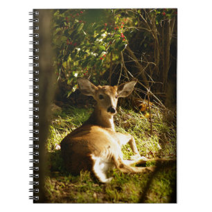 Cuaderno de Fotos Spiral Young Buck