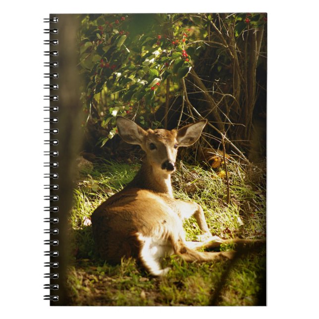 Cuaderno de Fotos Spiral Young Buck (Frente)