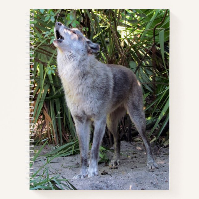 Cuaderno de fragmentos de espiral de lobo (Anverso)