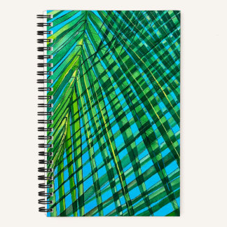Cuaderno de fragmentos de palma