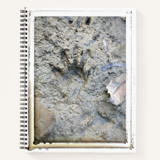 Cuaderno de Frog's Foot de la Universidad