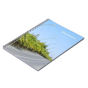 Cuaderno de Fuerteventura