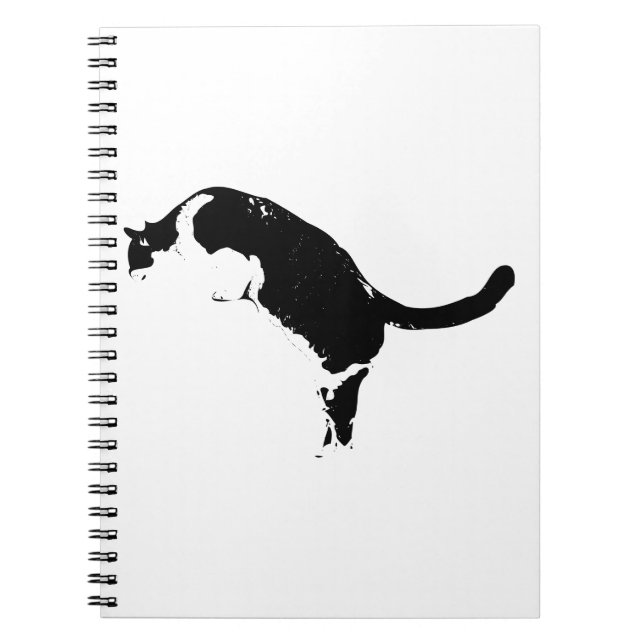 Cuaderno de gato de declaración (Frente)