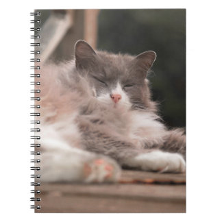 Cuaderno de gato esponjoso durmiendo acogedor