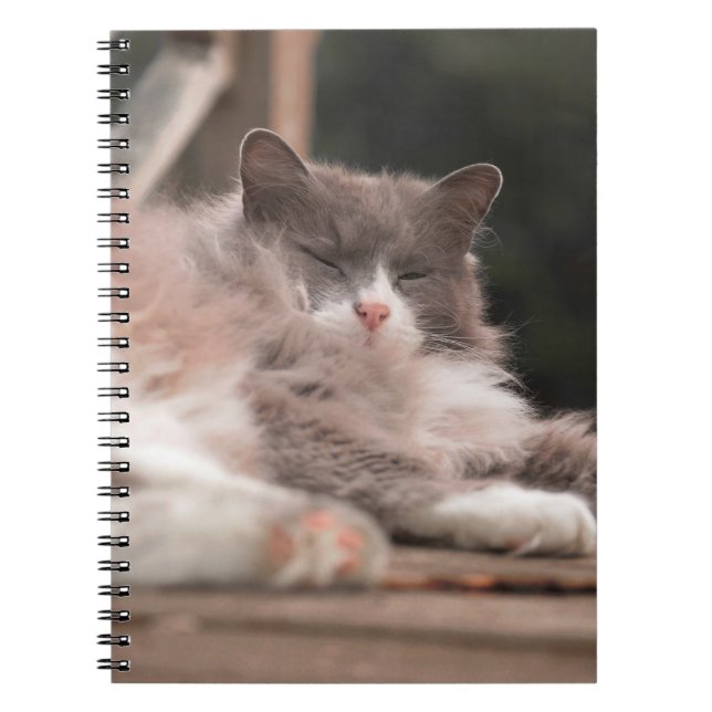 Cuaderno de gato esponjoso durmiendo acogedor (Frente)