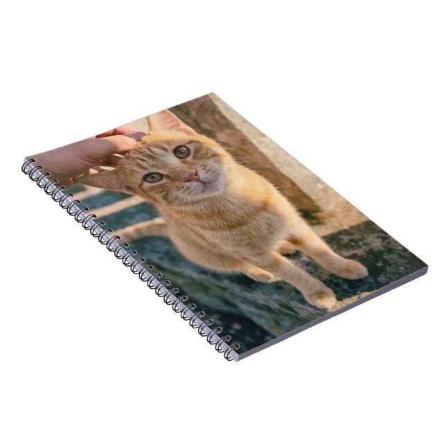 Cuaderno de gato naranja (Lado Derecho)
