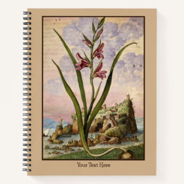Cuaderno de Gladiolos del Renacimiento
