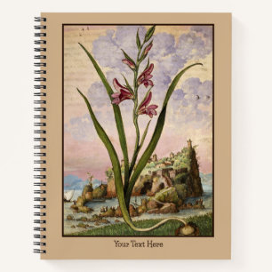Cuaderno de gladiolos renacentistas