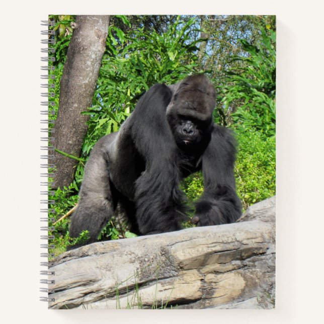 Cuaderno de gorilas de Silverback, 8,5 x 11 + (Anverso)