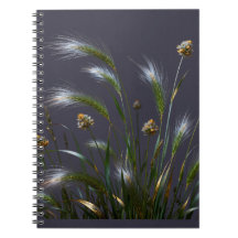 Cuaderno de hierba dorada