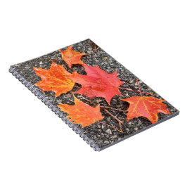 Cuaderno de hojas de arce de otoño
