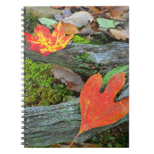 Cuaderno de hojas de otoño