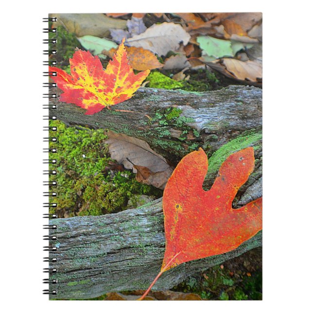 Cuaderno de hojas de otoño (Frente)