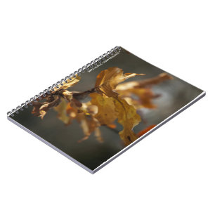 Cuaderno de hojas de otoño