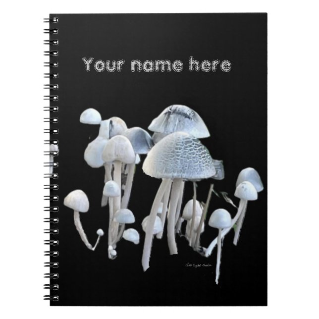 Cuaderno de Hongos (Frente)