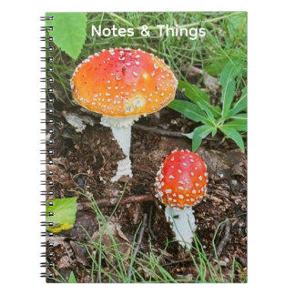 Cuaderno de Hongos del Bosque