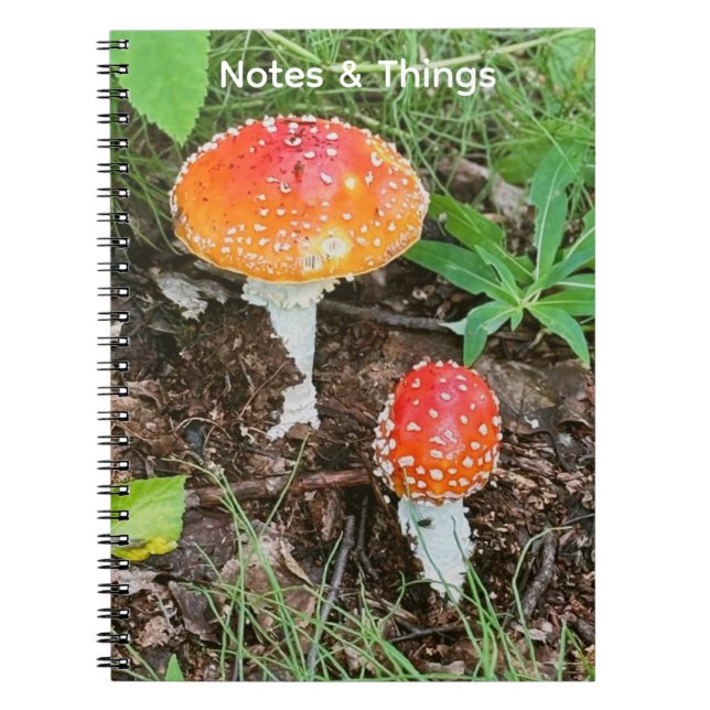 Cuaderno de Hongos del Bosque  (Frente)