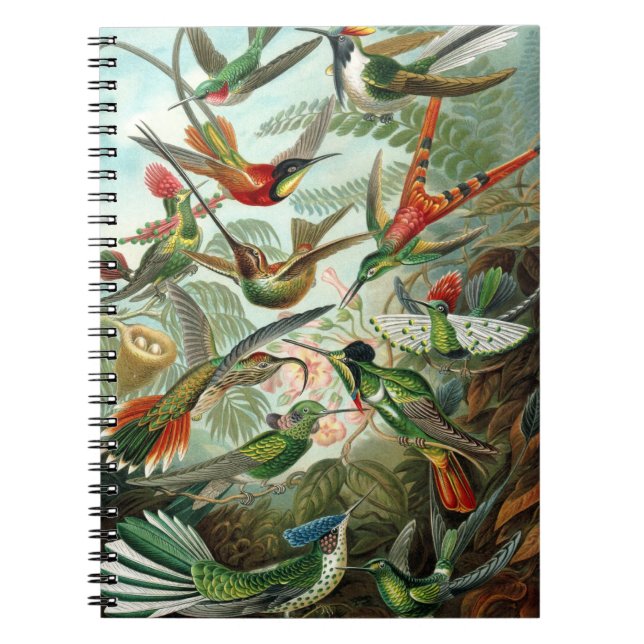 Cuaderno de Hummingbird (Frente)