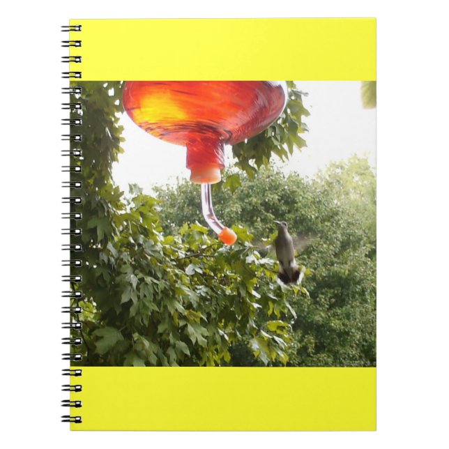 Cuaderno de Hummingbird 2 (Frente)