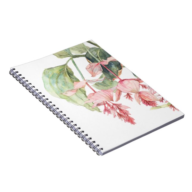 Cuaderno de Ilustracion de color de agua Medinilla (Lado Derecho)