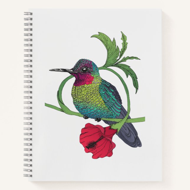Cuaderno de ilustración de pájaros colibrí (Anverso)