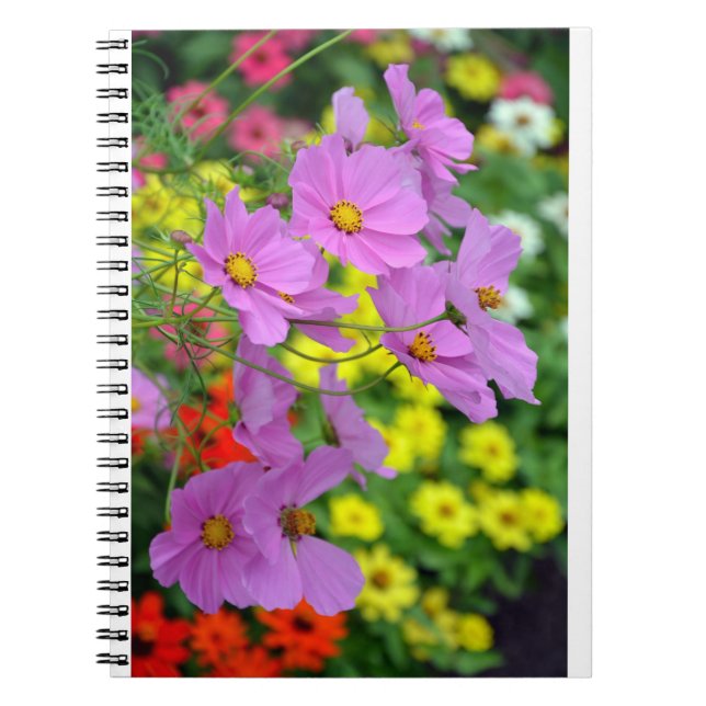 Cuaderno de impresión de flores de cosmos rosa (Frente)