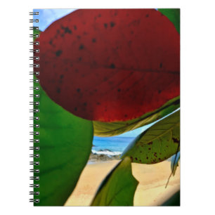 Cuaderno de inspiración tropical