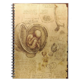 Cuaderno de la anatomía del feto de da Vinci