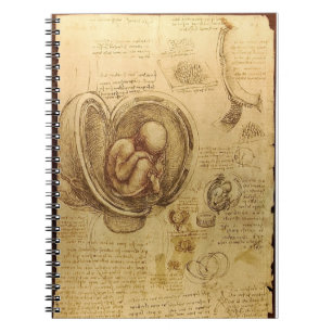 Cuaderno de la anatomía del feto de da Vinci