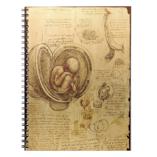 Cuaderno de la anatomía del feto de da Vinci (Frente)