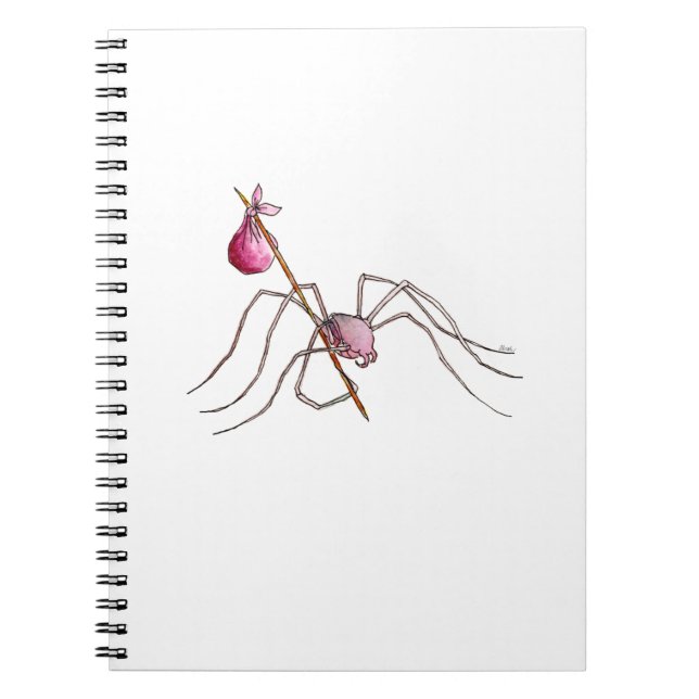 Cuaderno de la araña del hobo (Frente)