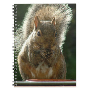 Cuaderno de la ardilla