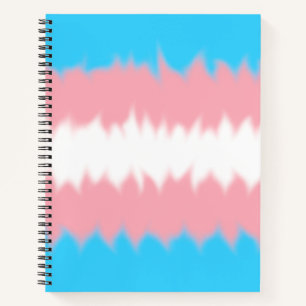 Cuaderno de la bandera trans